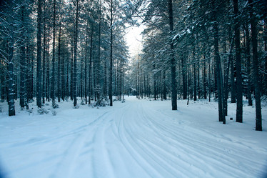 Similar image 10577353