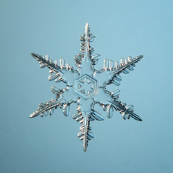 Similar image 10577356