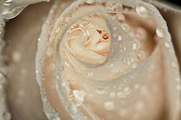 Similar image 10577379