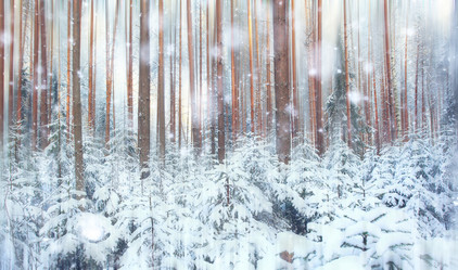 Similar image 10577382