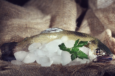 Similar image 10577384