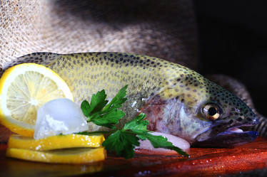 Similar image 10577386