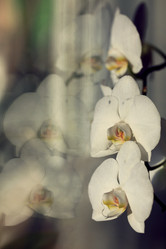 Similar image 10577390