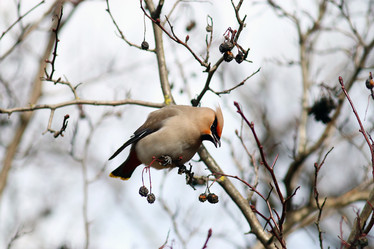 Similar image 10577396