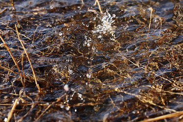 Similar image 10577399