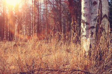 Similar image 10577401