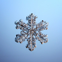 Similar image 10577621