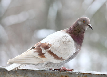 Similar image 10577622