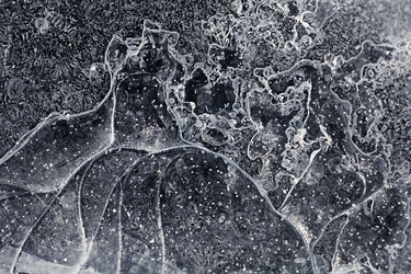 Similar image 10577627