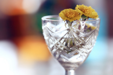 Similar image 10577732