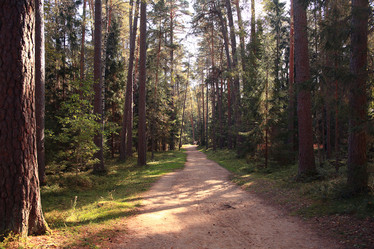 Similar image 10577784