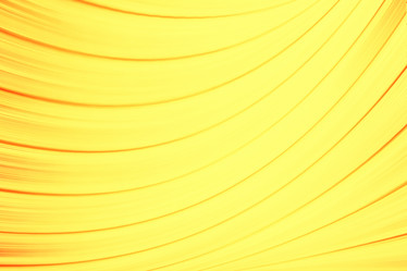 Similar image 10577792