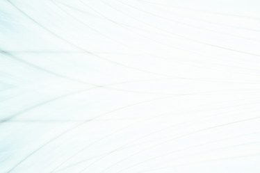 Similar image 10577797