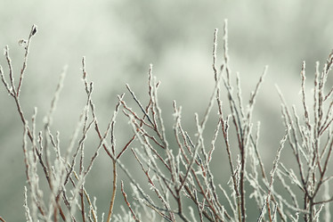 Similar image 10577854