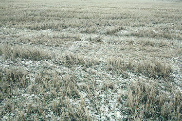 Similar image 10577857