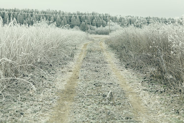 Similar image 10577864