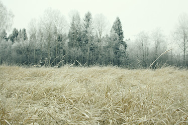 Similar image 10577865