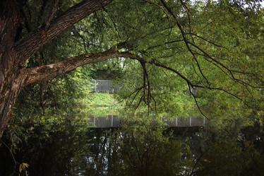 Similar image 10577866