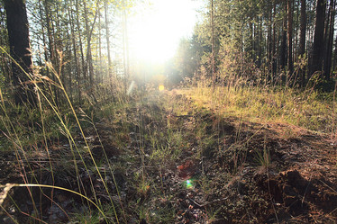 Similar image 10577882