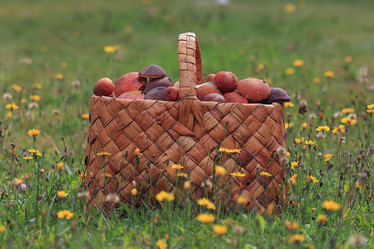 Similar image 10577883