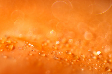 Similar image 10577893