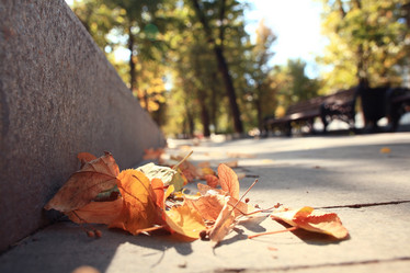 Similar image 10577896