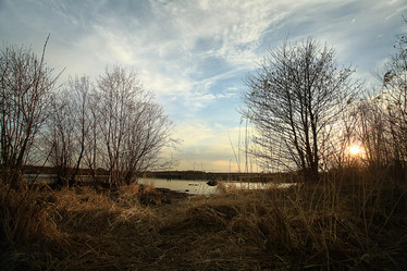 Similar image 10577900