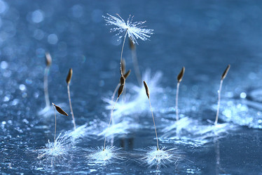 Similar image 10577978