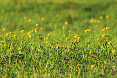 Similar image 10577980