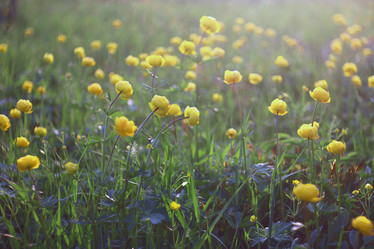 Similar image 10577982