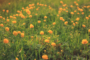 Similar image 10577985