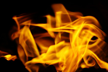 Similar image 10577989