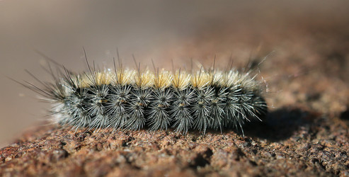 Similar image 10578045