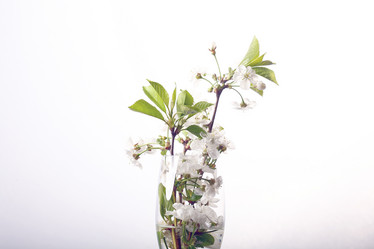 Similar image 10578053