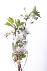 Similar image 10578055