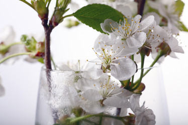 Similar image 10578058