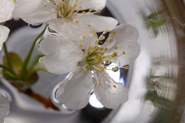 Similar image 10578060