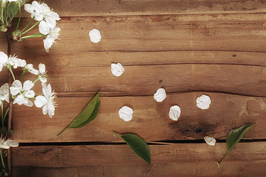 Similar image 10578067