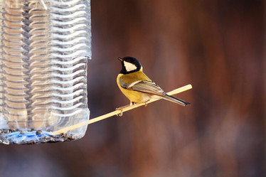 Similar image 10578100