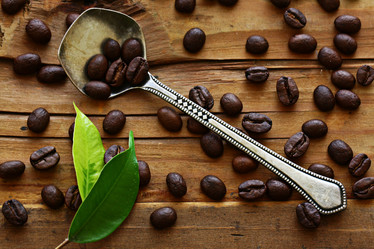 Similar image 10578101