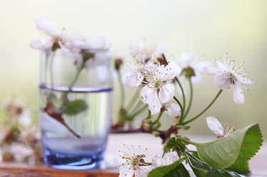 Similar image 10578109