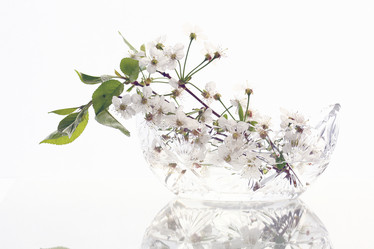 Similar image 10578110