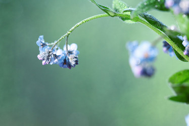 Similar image 10578146