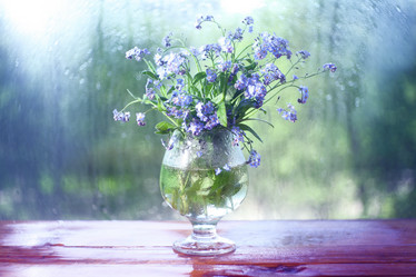 Similar image 10578147