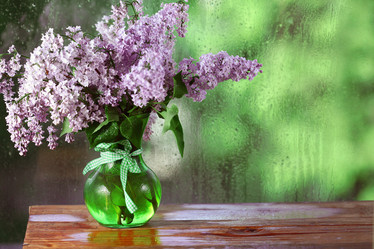 Similar image 10578155