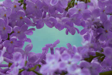 Similar image 10578156