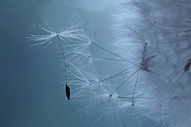 Similar image 10578158