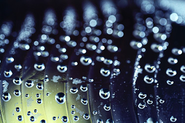 Similar image 10578191