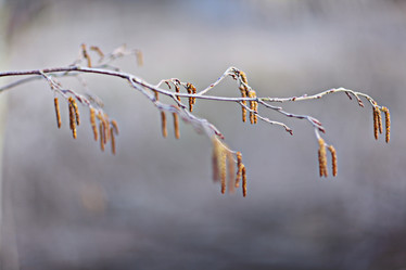 Similar image 10578199