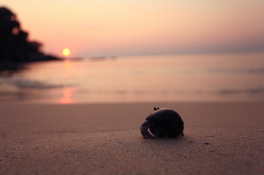 Similar image 10578263